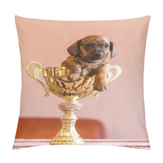 Personality  Tiny Dachshund Winner Pup In A Huge Prize Cup Pillow Covers