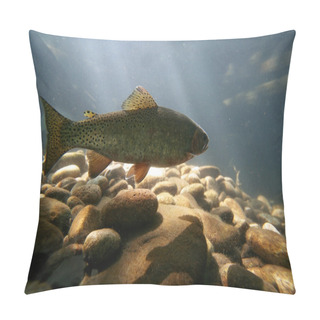 Personality  Trout Fish Swimming Pillow Covers