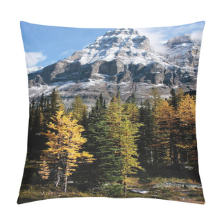 Personality  Mount Huber And Opabin Plateau, Yoho National Park, Canada Pillow Covers