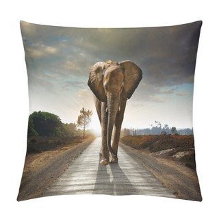 Personality  Single Walking Elephant Pillow Covers