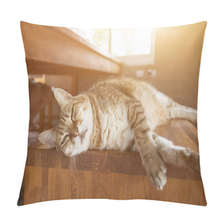 Personality  Cat Sleep On A Chair Pillow Covers