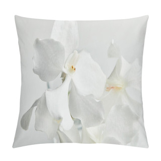 Personality  Beautiful Orchid Flowers Isolated On White Pillow Covers