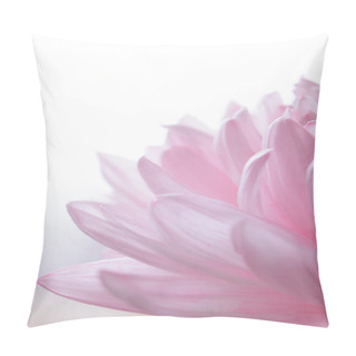 Personality  Close Up Image Of The Beautiful Pink Chrysanthemum Flower Pillow Covers