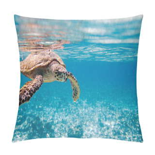 Personality  Hawksbill Sea Turtle Swimming In Indian Ocean In Seychelles Pillow Covers