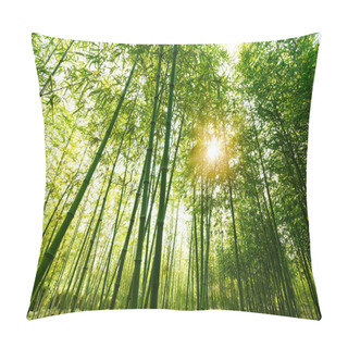 Personality  Bamboo Forest, Pillow Covers