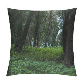 Personality  Scenic Shot Of Beautiful Forest With Ground Covered With Leaves Pillow Covers