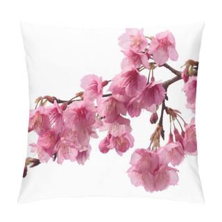 Personality  Pink Cherry Blossom Sakura Pillow Covers
