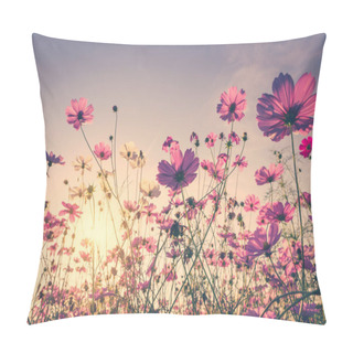 Personality  Field Cosmos Flower And Sky Sunlight With Vintage Filter. Pillow Covers