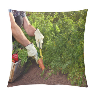 Personality  Farmer On Local Sustainable Organic Farm Pillow Covers