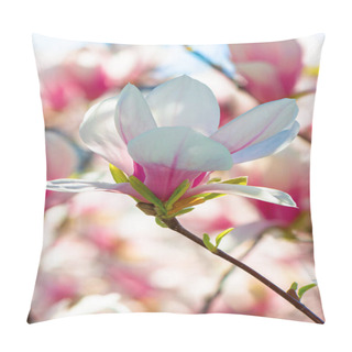 Personality  Pink Magnolia Blossom In Springtime. Beautiful Flowers On The Branch In Morning Light Pillow Covers