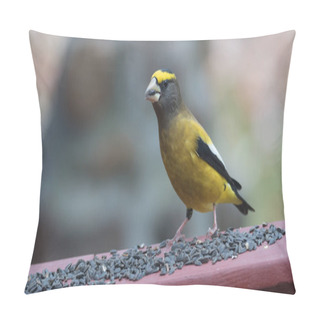 Personality  Yellow, Black & White Colored Evening Grosbeaks(Coccothraustes Vespertinus) Stop To Eat Where There Is Bird Seed Aplenty. Pillow Covers