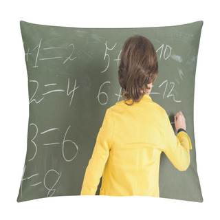 Personality  Schoolboy Writing On Blackboard Pillow Covers