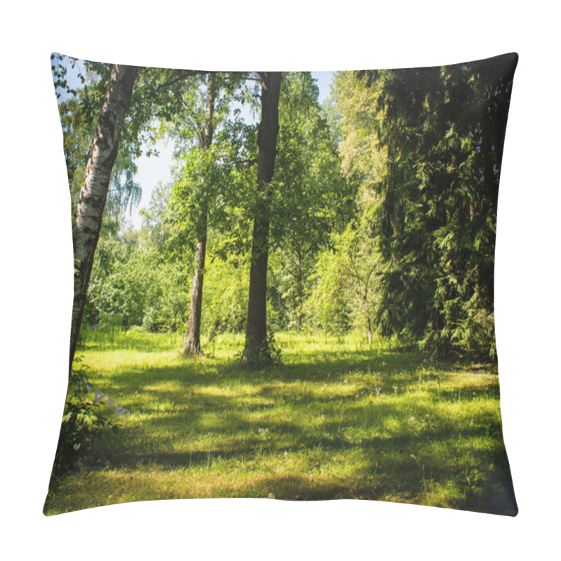 Personality  Summer day pillow covers
