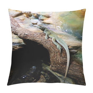 Personality  Water Dragon Pillow Covers