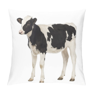 Personality  Veal, 8 Months Old, Looking Away In Front Of White Background Pillow Covers