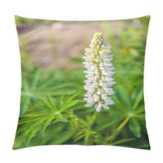 Personality  Lupinus Pillow Covers