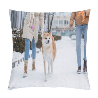 Personality  Cropped View Of Man Holding Leash While Walking With Girlfriend And Akita Inu Dog Pillow Covers
