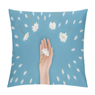 Personality  Top View Of Cropped Hand With Daisy Isolated On Blue Pillow Covers