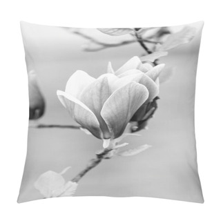 Personality  Luck, Health, Life Force Concept Pillow Covers