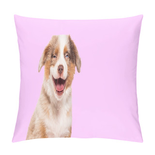 Personality  Happy Three Months Old Puppy Red Merle Bastard Dog Cross With An Australian Shepherd And Unknown Breed Isolated On Pink Background Pillow Covers