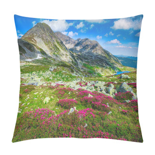 Personality  Stunning Slopes With Season Specific Pink Rhododendron Flowers And Famous Lake Bucura In The Retezat Mountains. Amazing Hiking And Touristic Place, Carpathians, Romania, Europe Pillow Covers