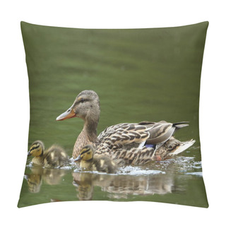 Personality  Duck Family With Duck Chicks Pillow Covers
