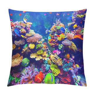 Personality  Singapore Aquarium Pillow Covers