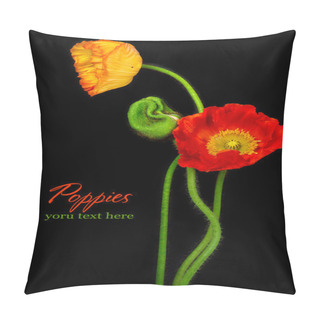 Personality  Red Poppies Pillow Covers