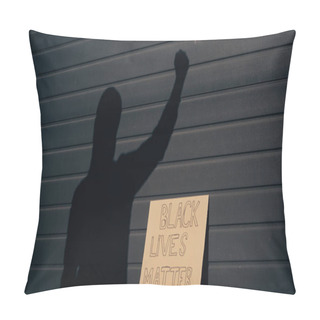Personality  Shadow Of Activist Near Carton Placard With Black Lives Matter Lettering Outdoors Pillow Covers