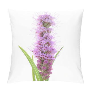 Personality  Liatris Spicata Flower Head Pillow Covers