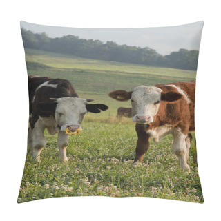 Personality  Cow Couple Pillow Covers