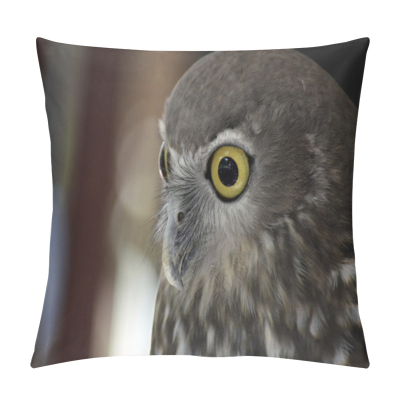 Personality  Barking owl pillow covers