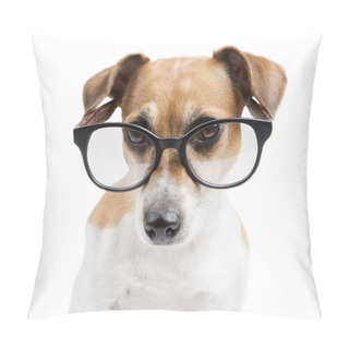 Personality  Pretty Clever Dog Stylish Reading Pillow Covers
