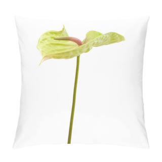 Personality  Green Anthurium Isolated Pillow Covers