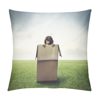 Personality  Hiding Pillow Covers