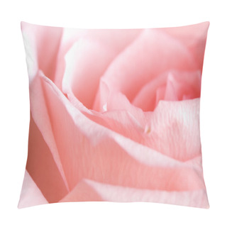 Personality  Pale Rose Pillow Covers