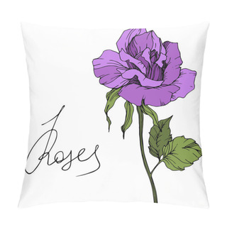 Personality  Vector. Beautiful Purple Rose Flower With Green Leaves Isolated On White Background. Engraved Ink Art. Pillow Covers