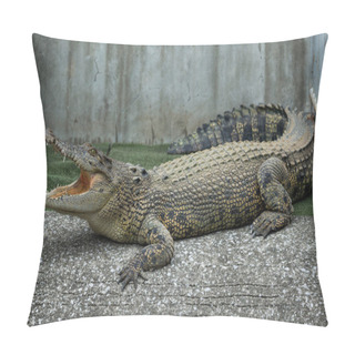 Personality  Crocodile Open Mouth Pillow Covers