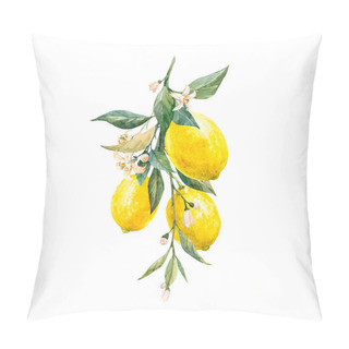 Personality  Beautiful Image With Watercolor Yellow Lemon Fruits, Leaves And Flowers. Stock Illustrations,. Pillow Covers