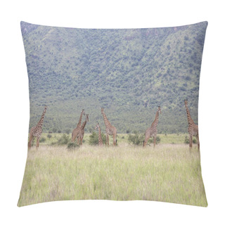 Personality  Masai Giraffes In Mikomazi National Park In Tanzania Pillow Covers