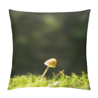 Personality  Small Lamellar Mushroom On A Green Moss In A Forest, Lit By A Sunbeam, Tilted To The Right Pillow Covers