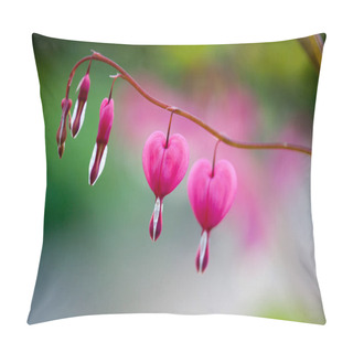 Personality  Pink Bleeding Heart Flower  Pillow Covers