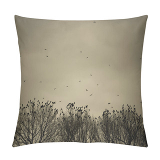 Personality  Silhouette Of Birds Flying In The Sky Pillow Covers