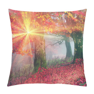 Personality  Autumn Mist In Forest Pillow Covers