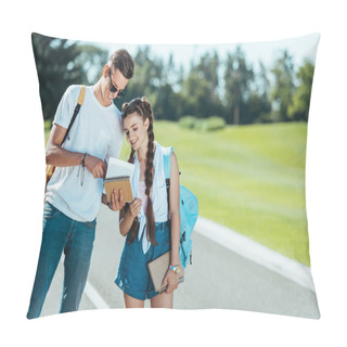 Personality  Happy Teenagers Holding Books While Standing And Smiling Together In Park  Pillow Covers