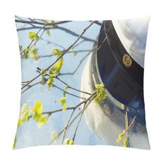 Personality  Finnish Student Cap Pillow Covers