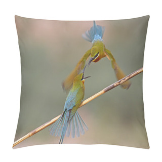 Personality  Blue Tailed Bee Eaters Pillow Covers