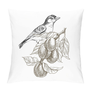 Personality  Sparrow Bird Hand Drawn In Vintage Style With Fruit Branch. Spring Bird Sitting On Plum Branches. Linear Engraved Art. Bird Concept. Romantic Concept. Vector Design Pillow Covers