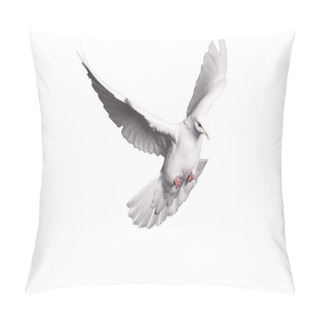Personality  White Dove Flying On  Background For Freedom Concept In Clipping Path,international Day Of Peace 2017 Pillow Covers