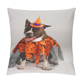 Personality  Purebred Staffordshire Bull Terrier In Halloween Cloak And Pointed Hat On Grey Pillow Covers